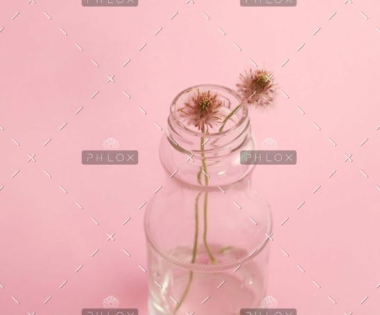 demo-attachment-796-photo-1429679310900-bad303d0e63a-1@2x